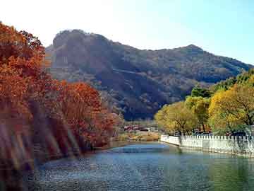 大小单双彩票app平台
